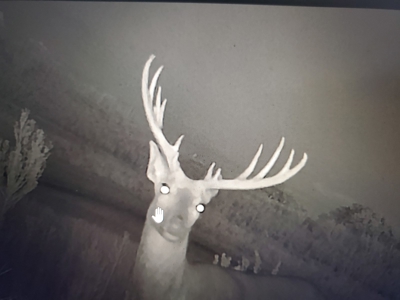 160-Acre Trophy Deer Hunting & Agriculture  | Clinton, OK - image 45