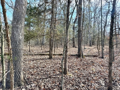 St. Clair County Missouri Recreational Land For Sale - image 32