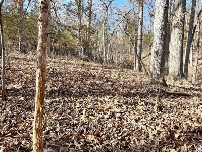 St. Clair County Missouri Recreational Land For Sale - image 16