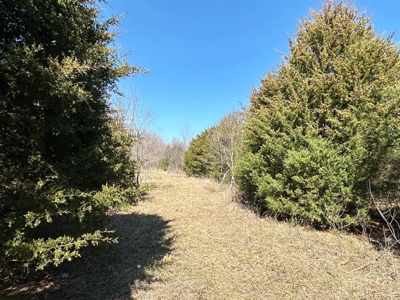 St. Clair County Missouri Recreational Land For Sale - image 11