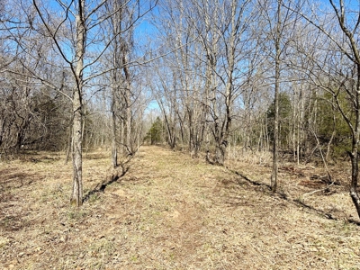 St. Clair County Missouri Recreational Land For Sale - image 9