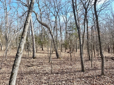 St. Clair County Missouri Recreational Land For Sale - image 33