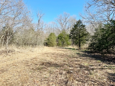 St. Clair County Missouri Recreational Land For Sale - image 12