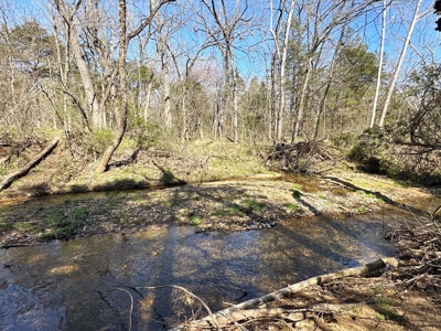 St. Clair County Missouri Recreational Land For Sale - image 20