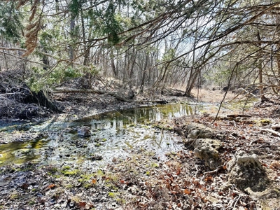 St. Clair County Missouri Recreational Land For Sale - image 25