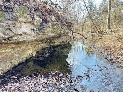 St. Clair County Missouri Recreational Land For Sale - image 23