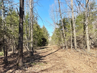 St. Clair County Missouri Recreational Land For Sale - image 7