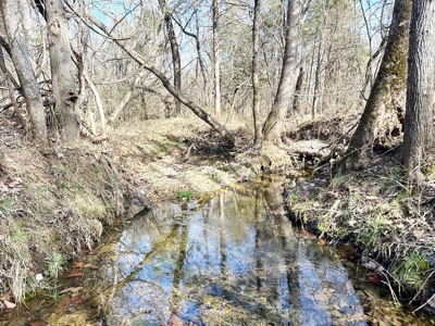 St. Clair County Missouri Recreational Land For Sale - image 22