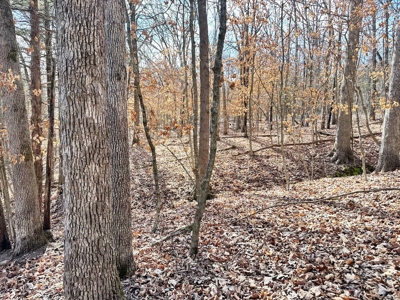 St. Clair County Missouri Recreational Land For Sale - image 17