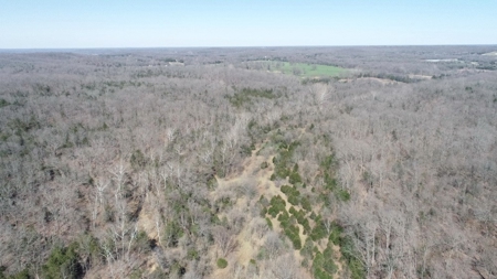 St. Clair County Missouri Recreational Land For Sale - image 38