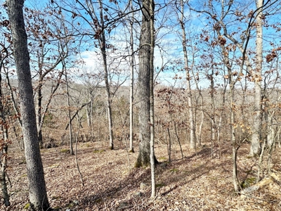 St. Clair County Missouri Recreational Land For Sale - image 28