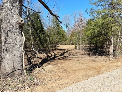 St. Clair County Missouri Recreational Land For Sale - image 5