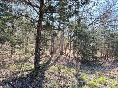 St. Clair County Missouri Recreational Land For Sale - image 13