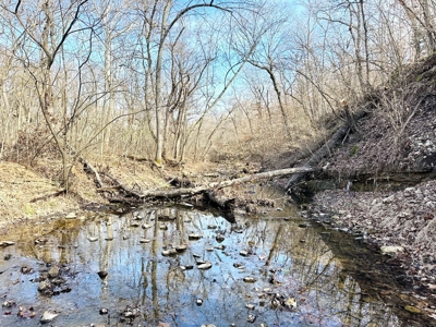 St. Clair County Missouri Recreational Land For Sale - image 24