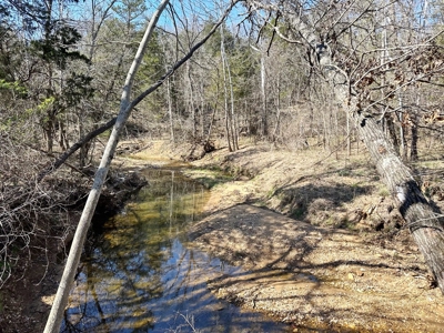 St. Clair County Missouri Recreational Land For Sale - image 21