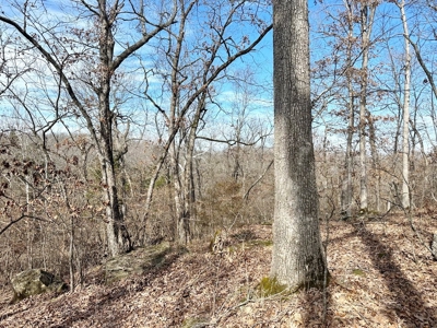 St. Clair County Missouri Recreational Land For Sale - image 30