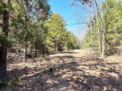 St. Clair County Missouri Recreational Land For Sale - image 6