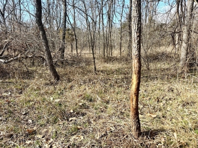 St. Clair County Missouri Recreational Land For Sale - image 34