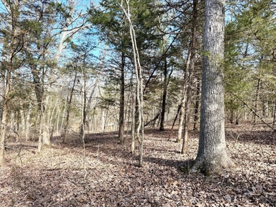 St. Clair County Missouri Recreational Land For Sale - image 31