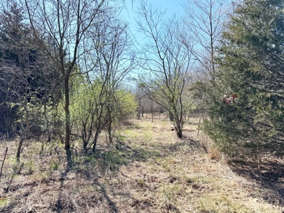 St. Clair County Missouri Recreational Land For Sale - image 14