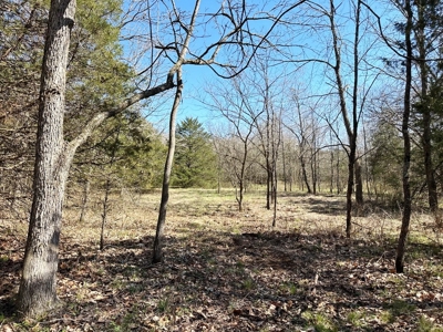 St. Clair County Missouri Recreational Land For Sale - image 15