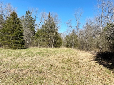 St. Clair County Missouri Recreational Land For Sale - image 36