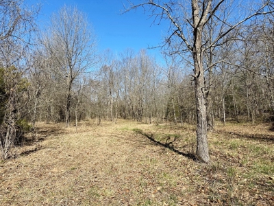 St. Clair County Missouri Recreational Land For Sale - image 8