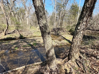 St. Clair County Missouri Recreational Land For Sale - image 19