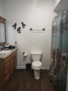 Horse farm for sale with riding arena , with a great home - image 13