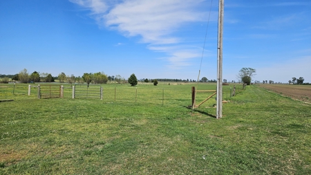 Horse farm for sale with riding arena , with a great home - image 18