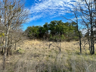 1.9 Acres Lakefront Hideout Golf Course Lake Brownwood, TX - image 12