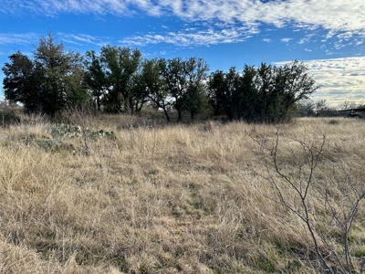 1.9 Acres Lakefront Hideout Golf Course Lake Brownwood, TX - image 13