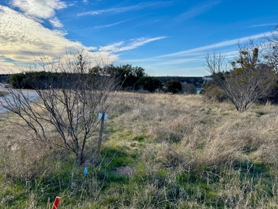 1.9 Acres Lakefront Hideout Golf Course Lake Brownwood, TX - image 8