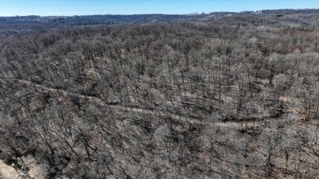 57 +/- Acres with 3 Bedroom Home and Trout Stream - image 12