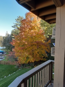 Chain O' Lakes Condo for Sale Waupaca - image 33