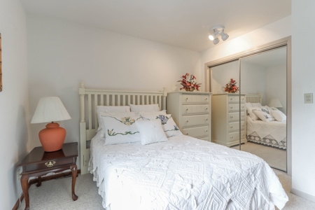 Chain O' Lakes Condo for Sale Waupaca - image 19