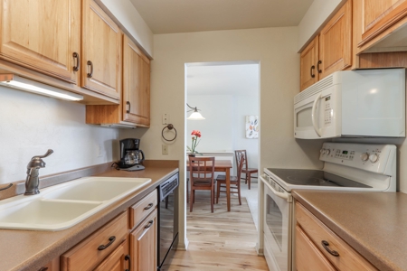 Chain O' Lakes Condo for Sale Waupaca - image 1