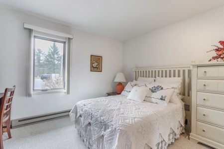 Chain O' Lakes Condo for Sale Waupaca - image 18