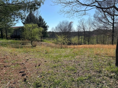 Country Home in Albany, Kentucky - image 39