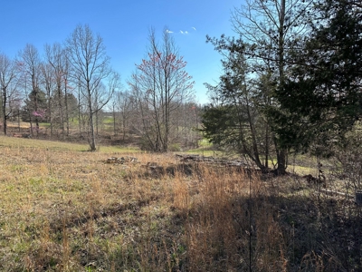 Country Home in Albany, Kentucky - image 47
