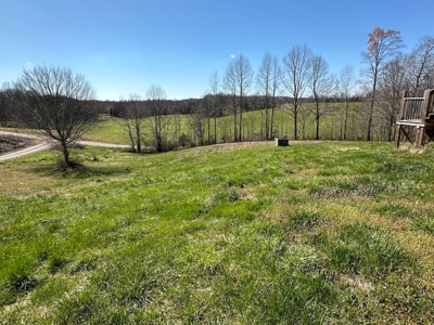 Country Home in Albany, Kentucky - image 3
