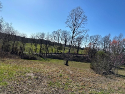 Country Home in Albany, Kentucky - image 44