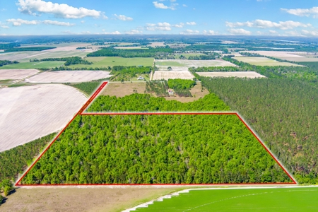 Land For Sale In Hamilton County!!! - image 10