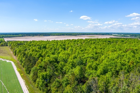 Land For Sale In Hamilton County!!! - image 12