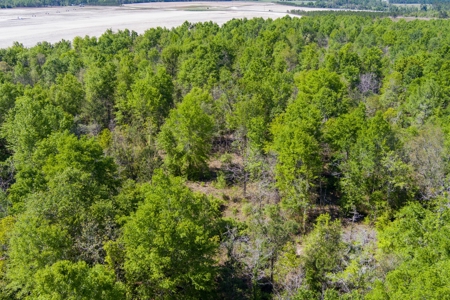 Land For Sale In Hamilton County!!! - image 14