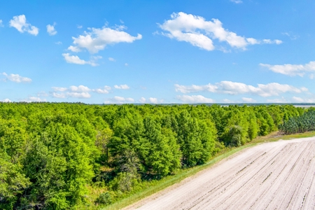 Land For Sale In Hamilton County!!! - image 15