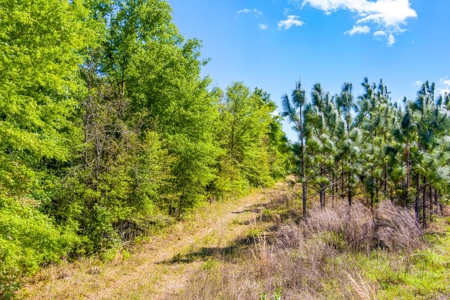 Land For Sale In Hamilton County!!! - image 19