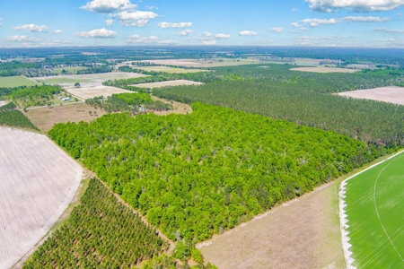 Land For Sale In Hamilton County!!! - image 8