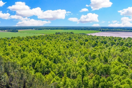 Land For Sale In Hamilton County!!! - image 21