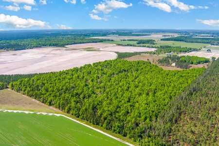 Land For Sale In Hamilton County!!! - image 11